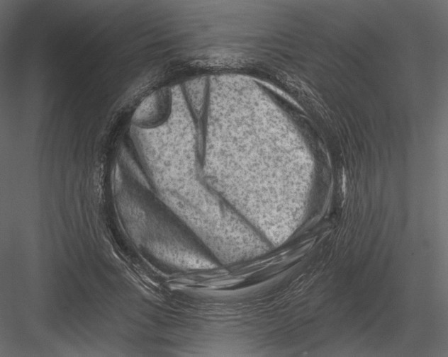 X0000082960735200702222339