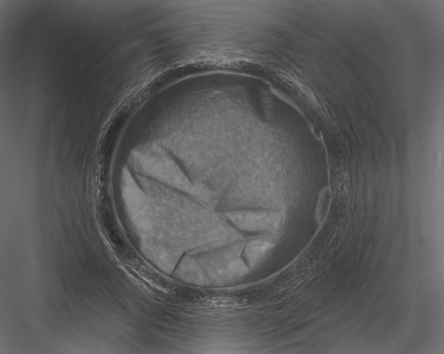 X0000082960736200702222339