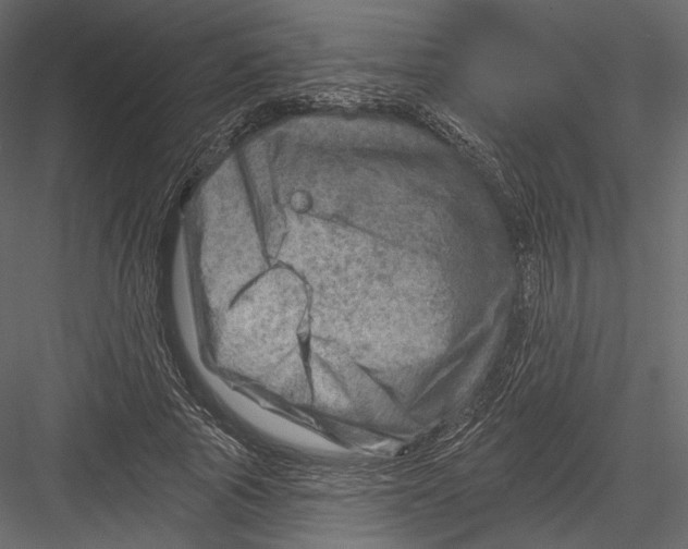 X0000082960737200702222339