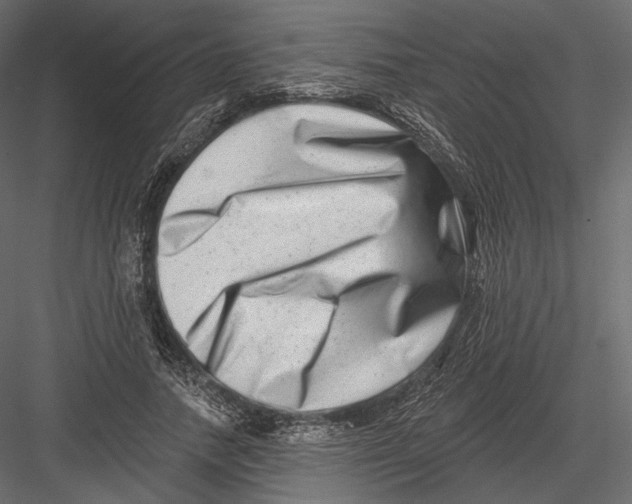 X0000082960738200702222339