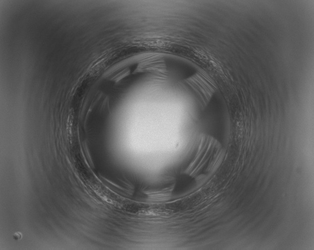 X0000082960739200702222339