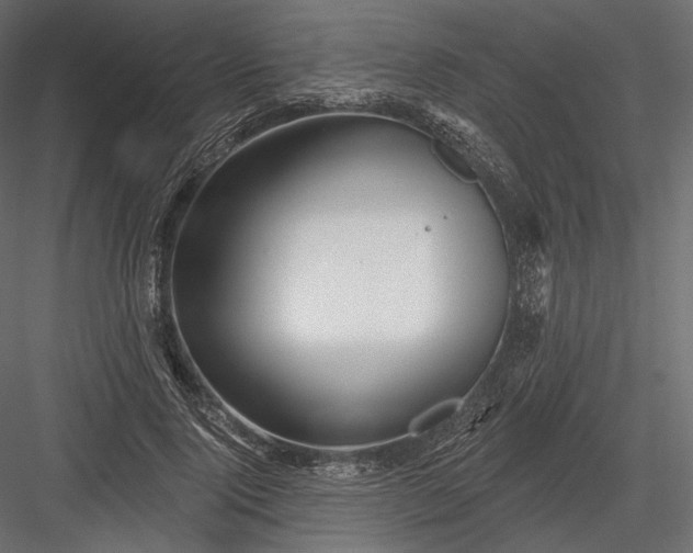 X0000082960740200702222339