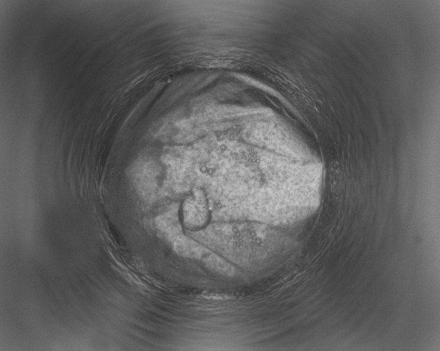 X0000082960741200702222339