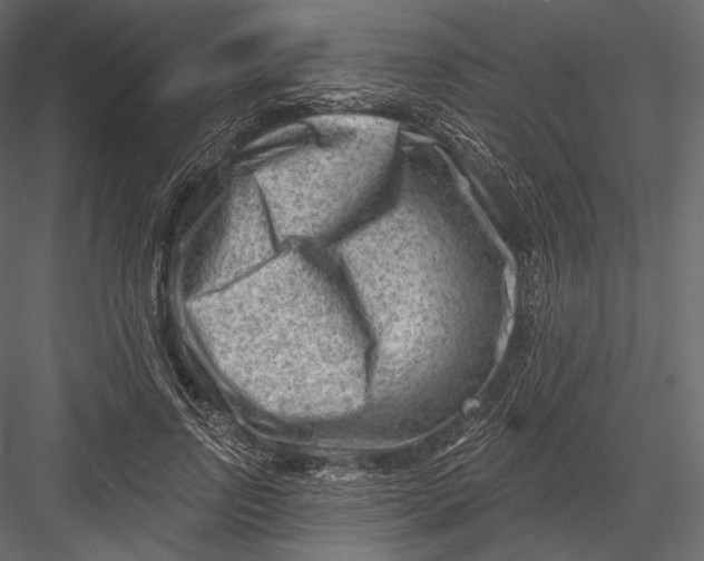 X0000082960742200702222339