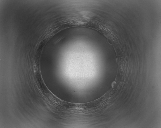 X0000082960743200702222339