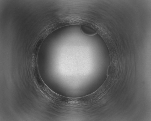 X0000082960744200702222339