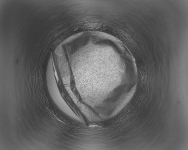 X0000082960745200702222339