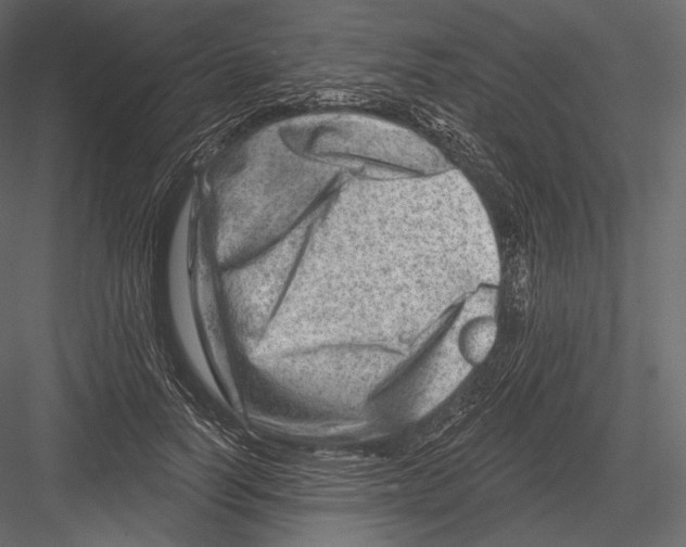 X0000082960746200702222339