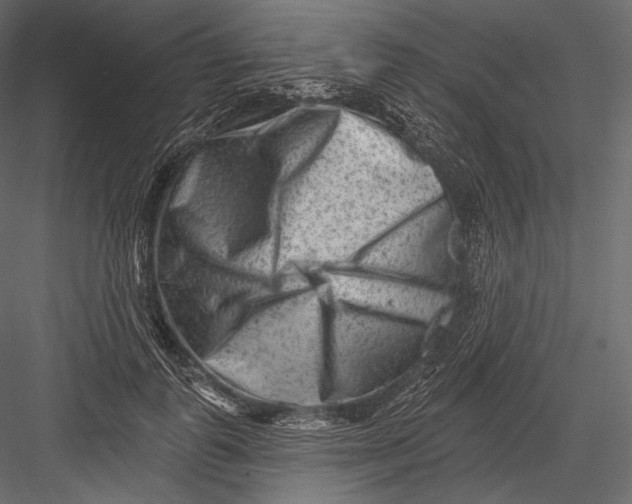 X0000082960747200702222339