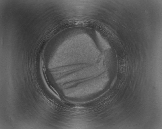 X0000082960748200702222339