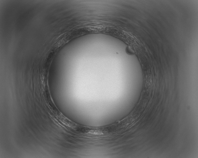 X0000082960749200702222339