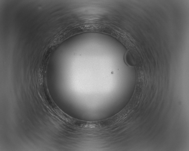 X0000082960751200702222339