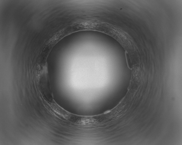 X0000082960752200702222339