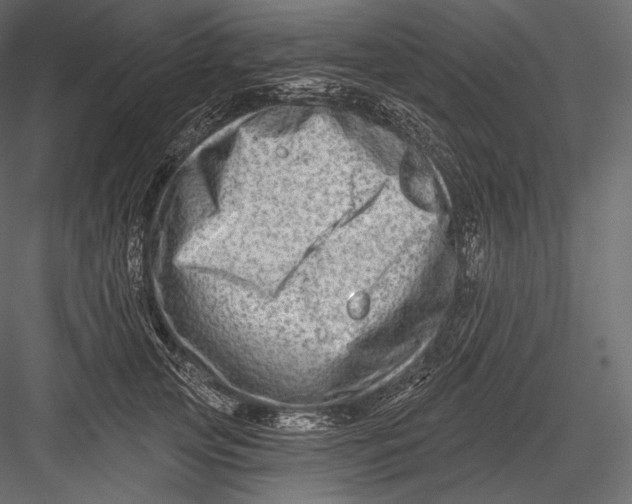 X0000082960753200702222339