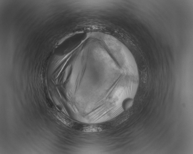 X0000082960754200702222339