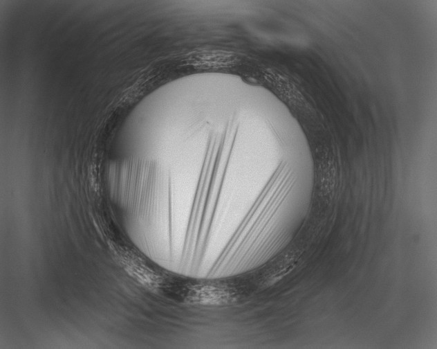 X0000082960755200702222339