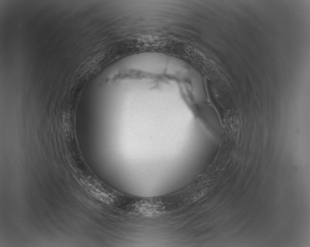 X0000082960756200702222339