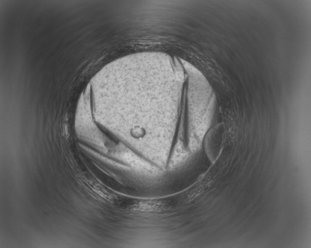 X0000082960758200702222340