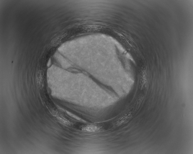 X0000082960759200702222340