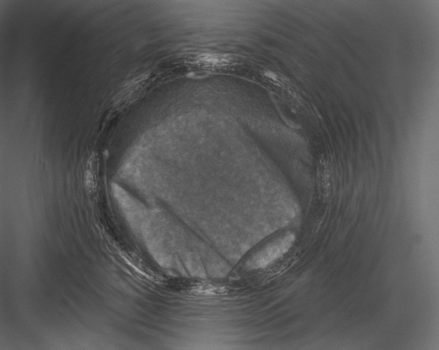 X0000082960760200702222340