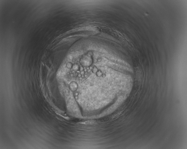 X0000082960761200702222340