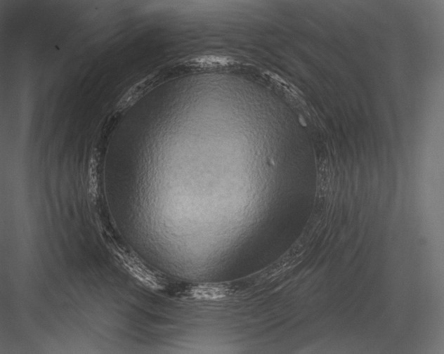 X0000082960762200702222340