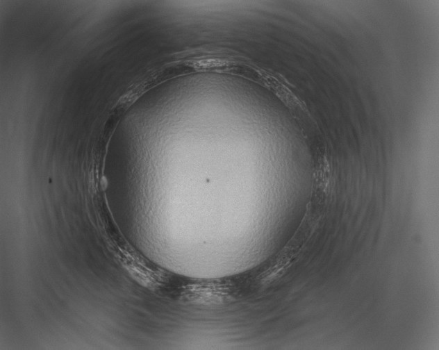 X0000082960763200702222340