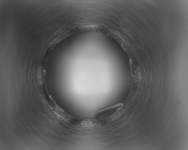 X0000082960764200702222340