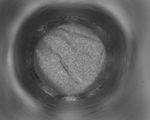 X0000082960765200702222340