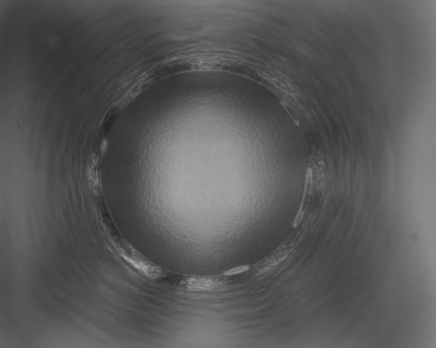 X0000082960766200702222340