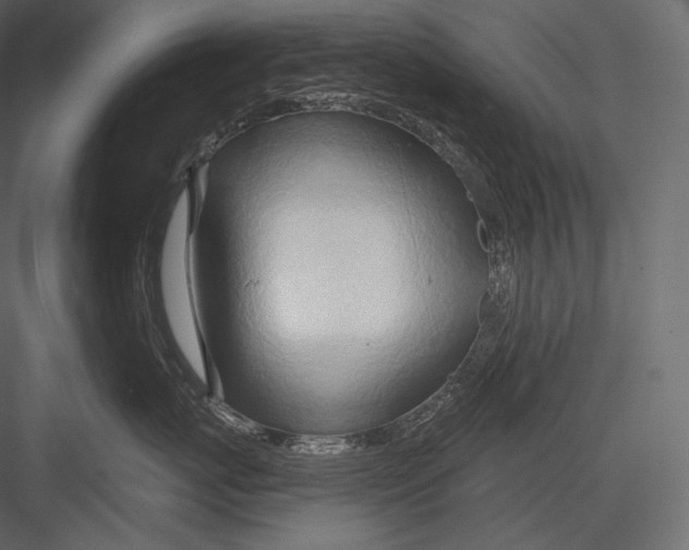 X0000082960767200702222340