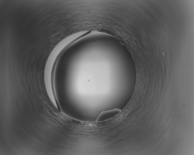 X0000082960768200702222340