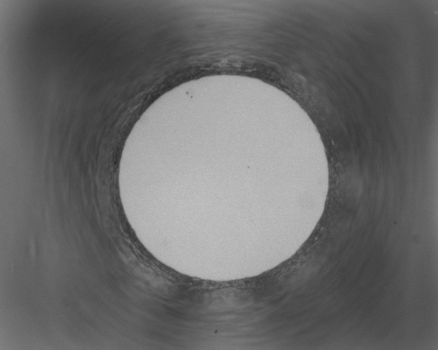 X0000082960769200702222339