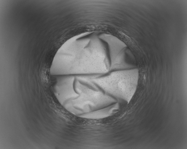 X0000082960770200702222339