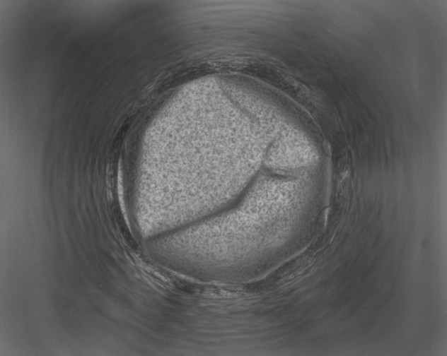 X0000082960772200702222339