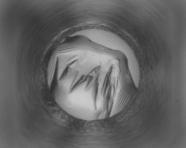 X0000082960776200702222339