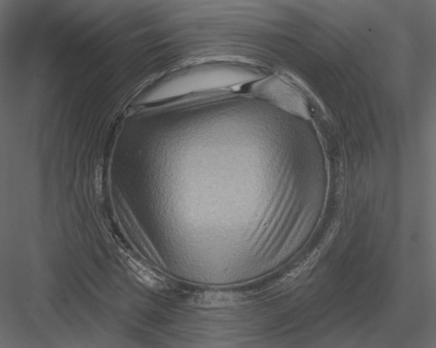 X0000082960777200702222339