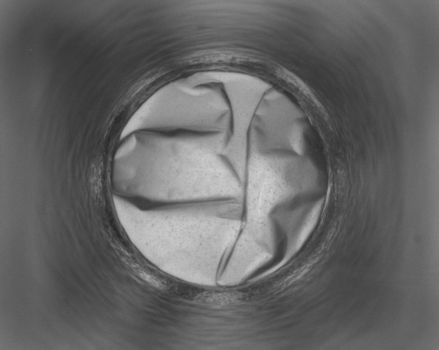 X0000082960778200702222339