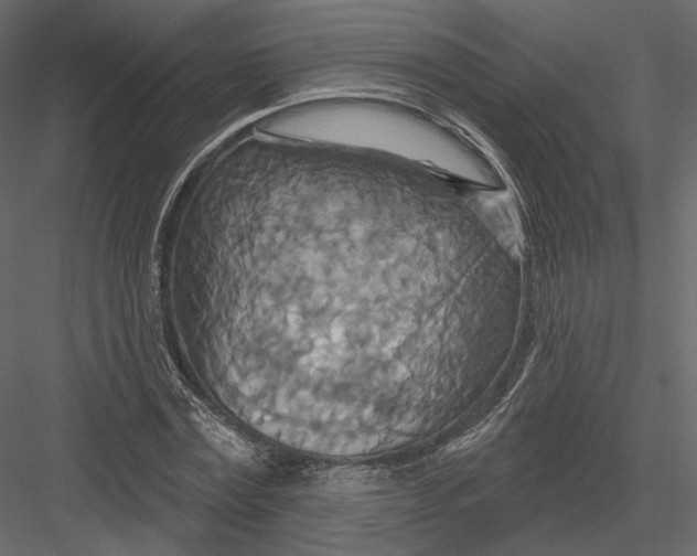 X0000082960779200702222339