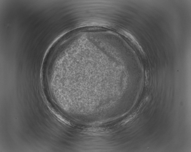 X0000082960780200702222339