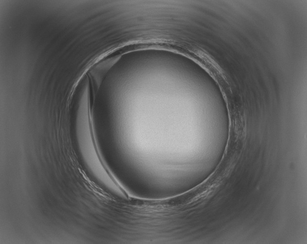 X0000082960781200702222339