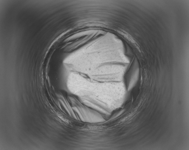 X0000082960782200702222339