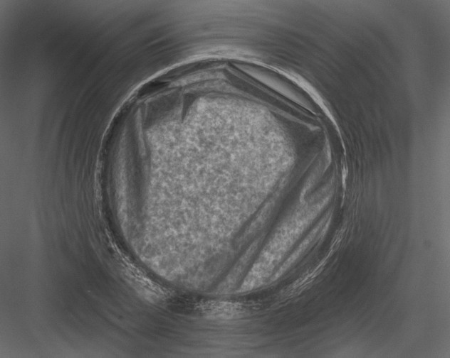 X0000082960783200702222339