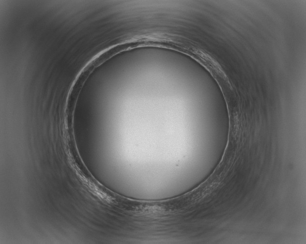 X0000082960784200702222339