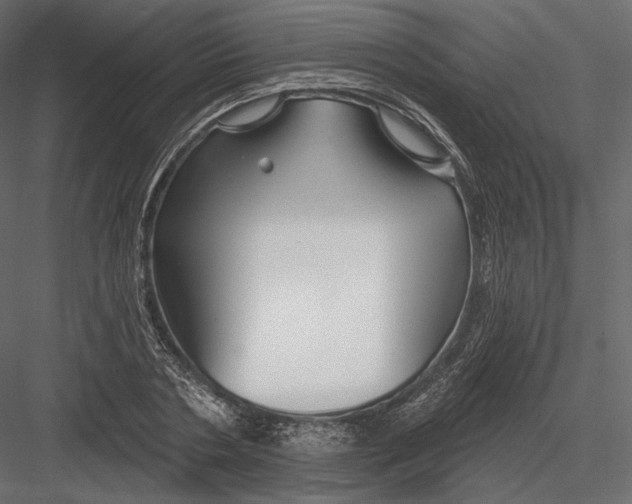 X0000082960786200702222339