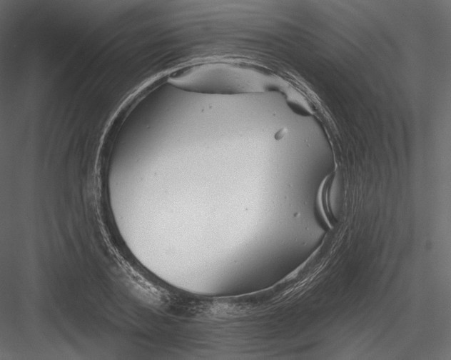 X0000082960787200702222339