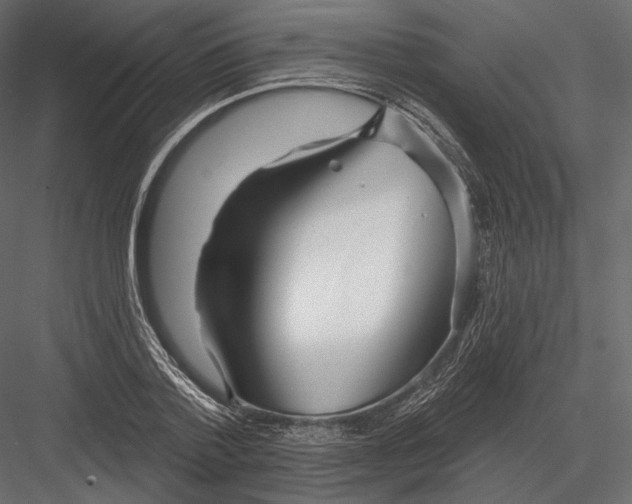 X0000082960788200702222339