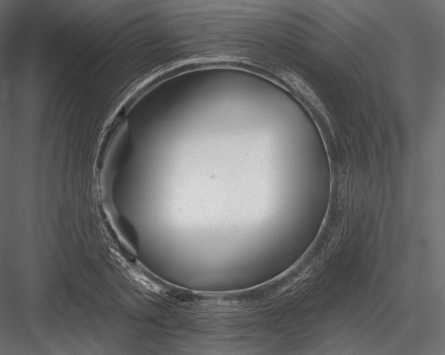 X0000082960789200702222339