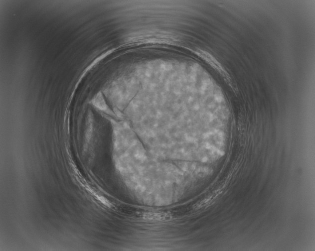 X0000082960790200702222338