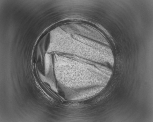 X0000082960791200702222338